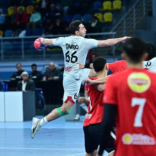koo_558028.jpg